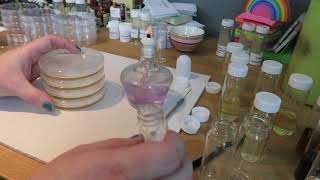 Pouring Plates. Aseptic technique for microbiology