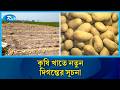 ভিয়েতনামে আলু রপ্তানির গ্রিন সিগন্যাল: কৃষি খাতে নতুন দিগন্তের সূচনা | Rtv News