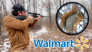 Hunting with Walmart's MOST EXPENSIVE Air Rifle!