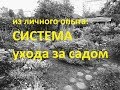 Садовый влог 12.08.19  Моя система УХОДА ЗА САДОМ Удобрения Рассуждения