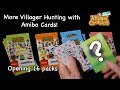 More Villager Hunting with Amibo Cards