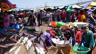 Kilo 9 Dry Fish Market in Cambodia - Plenty Dry Fish, Alive Fish, Seafood &amp; More @ Fish Market