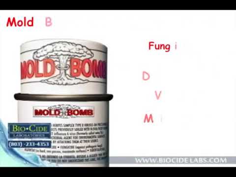 Mold Bomb Biocide Labs Blows Mold Away Call Today 678 971 4388