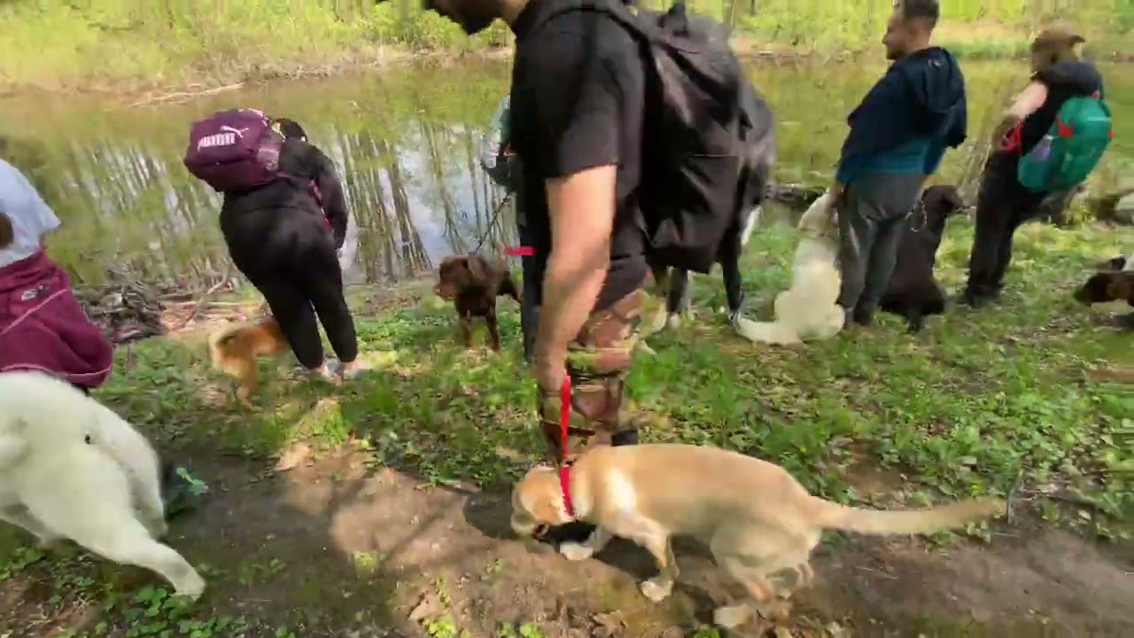 Training Day In Forest 🐶 Diva Of Clear Passion- Cleo ❤️