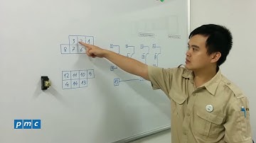 Cấu tạo role trung gian 14 chân