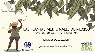 Las Plantas Medicinales de México, Regalo de Nuestros Abuelos screenshot 5
