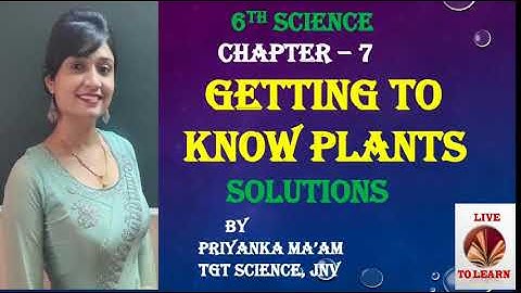 Getting to Know Plants | Question Answers | Class 6 | chapter 7 | Science | Worksheet for 6th 7th8th