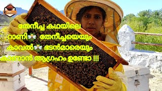 Hatta Honey Bee Garden || Hatta Honey Bee Discovery Centre