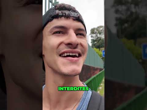 La Vie Urbaine