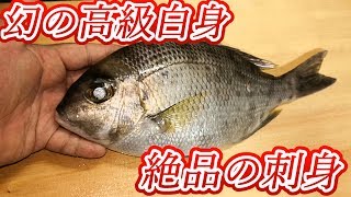 真鯛より高級な｢タイ｣を、刺身で食べたら脂乗り過ぎでヤバい！？