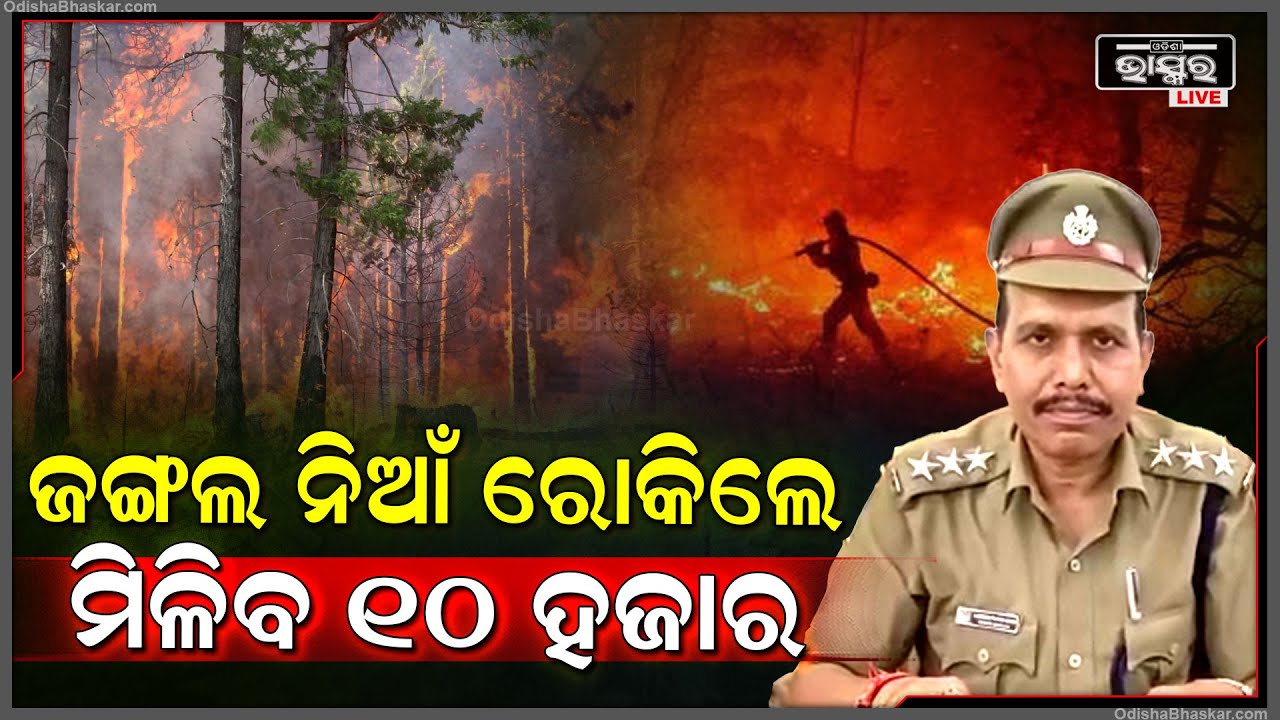 ଏଣିକି ଜଙ୍ଗଲ ନିଆଁ ରୋକିଲେ ମିଳିବ ୧୦ ହଜାର । ଜଙ୍ଗଲ ସୁରକ୍ଷାକୁ ନେଇ ବନ ବିଭାଗ ପକ୍ଷରୁ ନିଆଗଲା ନିଷ୍ପତ୍ତି