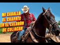 Mi caballo El Chanate en el caloron de Culiacán