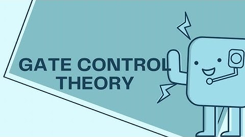 Gate Control Theory Explained | Why Rubbing Reduces Pain! 