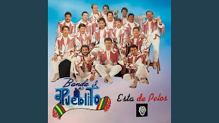 Video thumbnail of "Banda El Pueblito - Esta de Pelos"