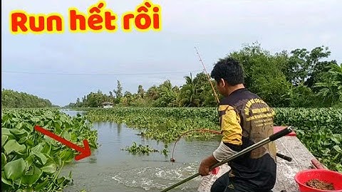 Run tay hồi hộp câu ổ cá tra khủng - Cá kéo bay cần xuống sông | Câu cá ổ