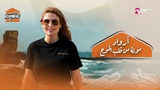 أسرار المطبخ الأروادي جولة للتعرف على أشهر أكلات لؤلؤة الساحل السوري بيت المونة