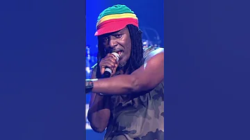 Alpha Blondy Les Salauds Shorts 