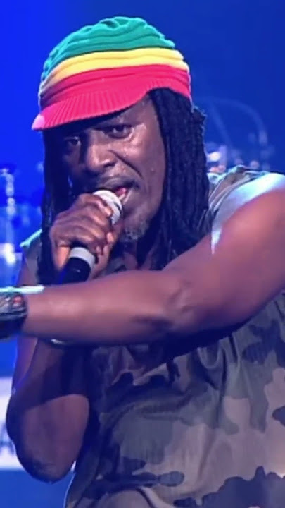 💚💛❤️ Alpha Blondy - Les Salauds #shorts