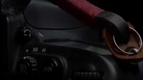 Gordy's Camera Straps : macro and light