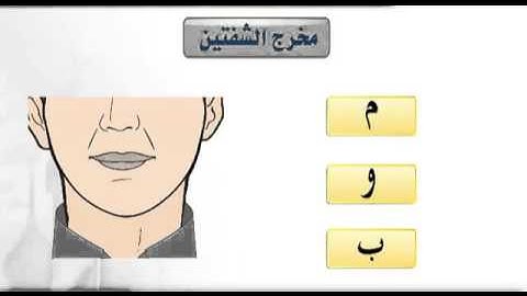التجويد المبسط - مخارج الحروف - مخرج الشفتين