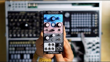 8 Voice POLYPHONIC SYNTHESIZER.. For EURORACK!? |  Knobula Poly Cinematic
