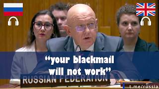 Russia-China Block UN Effort to Revive Iran Sanctions Committee | RU-EN