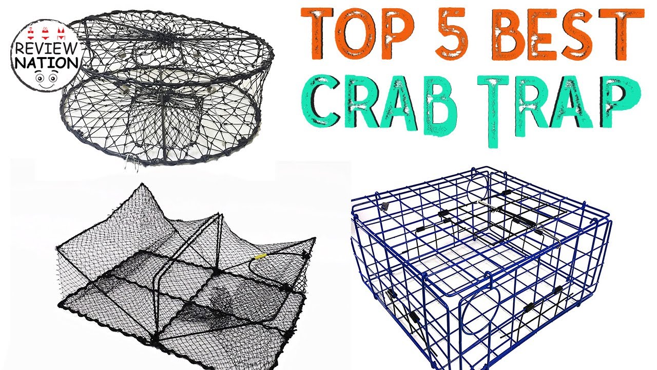 Top 5 Best Crab Trap On Amazon | Best Crab Trap Review In 2023 (TESTED)