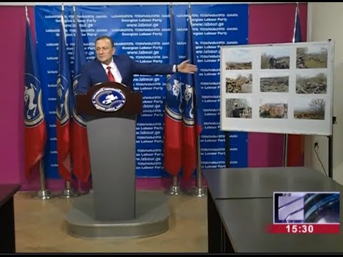 \"RMG GOLD - მა 5 მილიონი კვ.მ. ტერიტორიაზე ტყე გაჩეხა - \"ლეიბორისტები\"