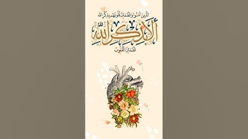 قران كريم سورة الرعد ايه ٢٨