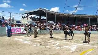Carrera de burros  2018, Huamantla Tlaxcala