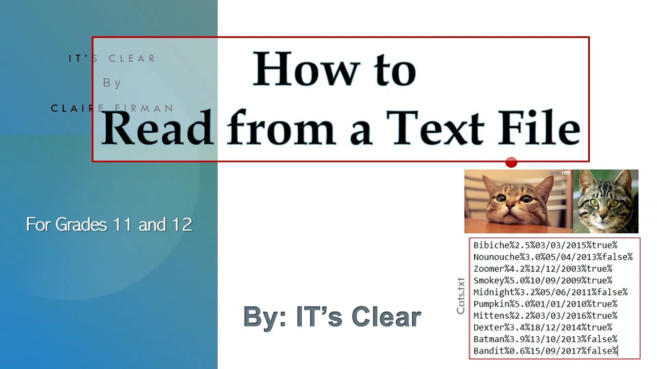 How to read data from a Text File (Gr 11 & 12) - YouTube