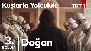 Doğan | Kuşlarla Yolculuk 3. Bölüm