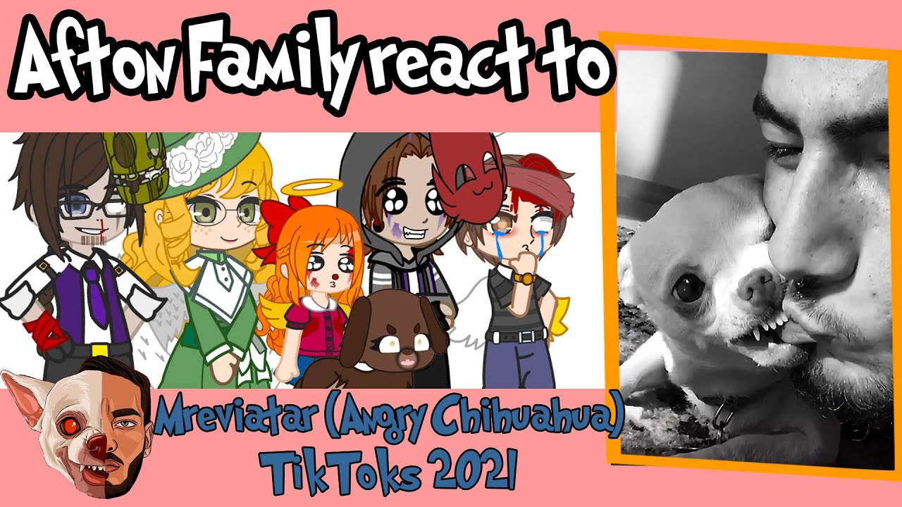 mreviatar angry chihuahua reacted by Afton Family/Gacha Club