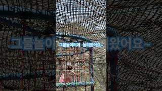 그물놀이터 #숲속놀이터 #그물놀이터 #숲속 #green #playground