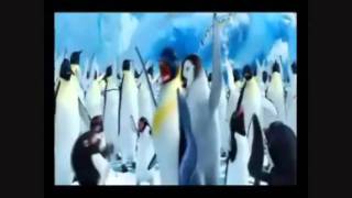 Happy Feet Got To Tip On The Tightrope...