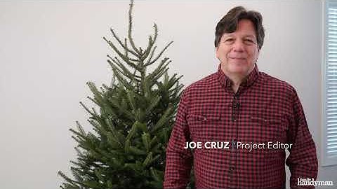 How to Water a Christmas Tree