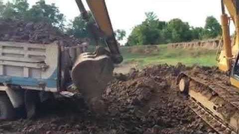 The biggest python cut While Excavator Digging The Ground.