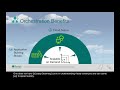 Containerization and Orchestration Overview