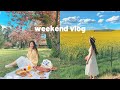 nessie diaries | weekend road trip, spring picnic, canola fields 👭☀️