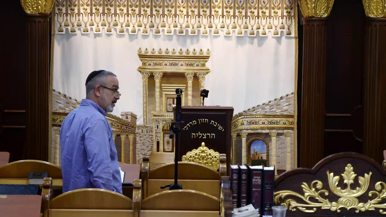 הרב מאיר דוד שמואלי שליט"א - שידור חי יום א'- פרשת וישלח תשפ"ו