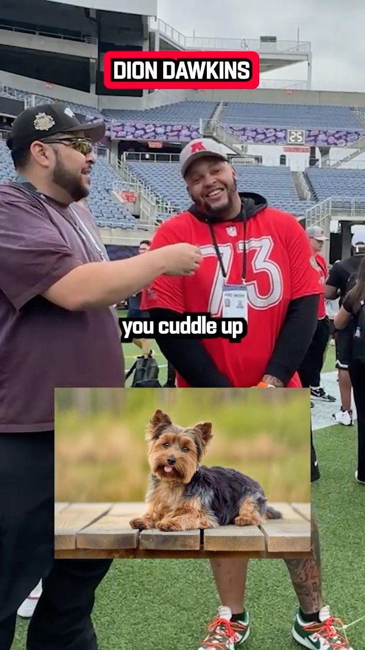 Which dog breed fits these NFL stars? ?? @BroadcastBoysHoH