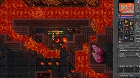 Paladin hunt warlock - trap no waste