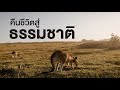 สารคดีสำรวจโลก ตอน คืนชีวิตสู่ธรรมชาติ