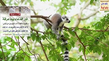 ماتيسر من سورة الأعراف للشيخ أ.د سعود الشريم  القرآن الكريم  holy quran