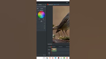 Lightworks Tutorial: How to Increase or Decrease Brightness in Lightworks