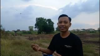 Jurus Aungan Singa auto lawan Del Badel