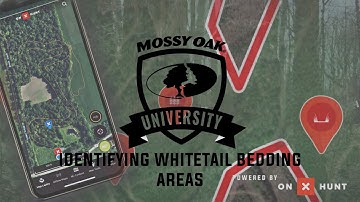 How to Find Whitetail Bedding Areas | Mossy Oak University x OnX Hunt