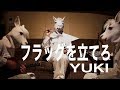 フラッグを立てろ-YUKI【フル歌詞】「3月のライオン」OP (Acoustic ver.)