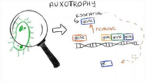 Types of Biocontainment Systems