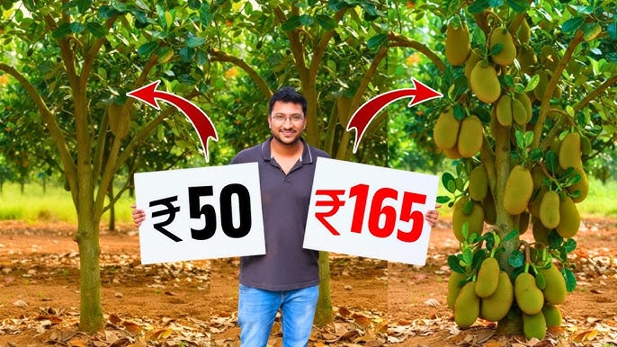 Yalangoch qaynona külotsiz. Keksa ayolning haqiqiy surati.